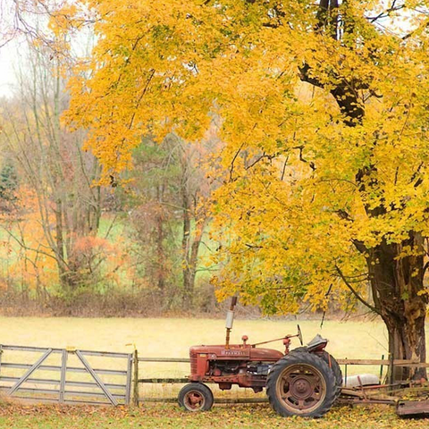 Nature Photography, autumn tractor orange fall rust red yellow golden leaves